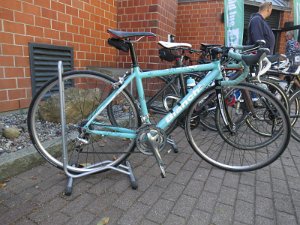 RTF Almabtrieb 267